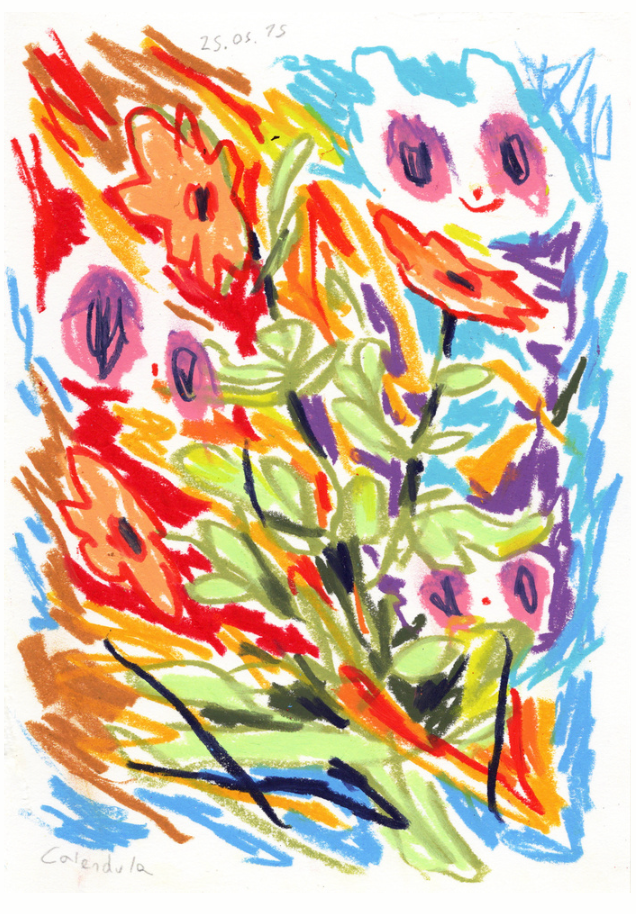 ‘Calendula’ (2025) - Paper Work by Mila Useche
